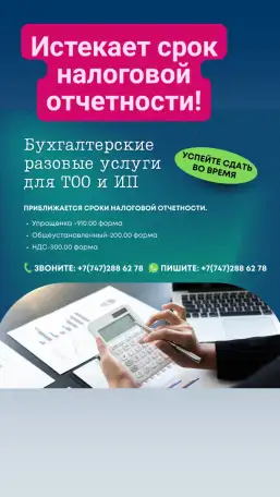 Бухгалтерские услуги для ТОО и ИП в Алматы, фотография 4