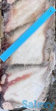 Рыба св.мороженная во Владивостоке., фотография 1