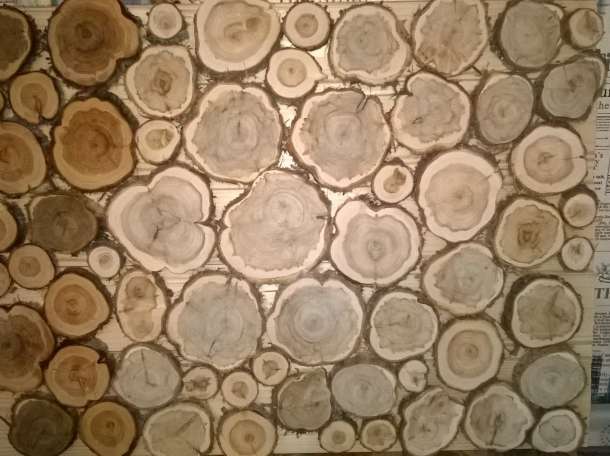 Спилы можжевельника., фотография 4