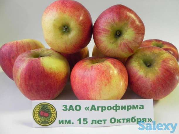 РАБОТА, фотография 1