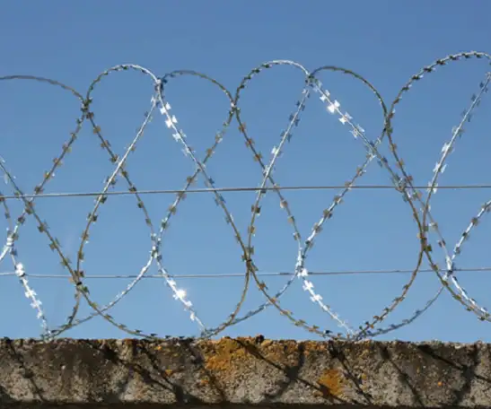 СББ Егоза - колючая проволока, фотография 3