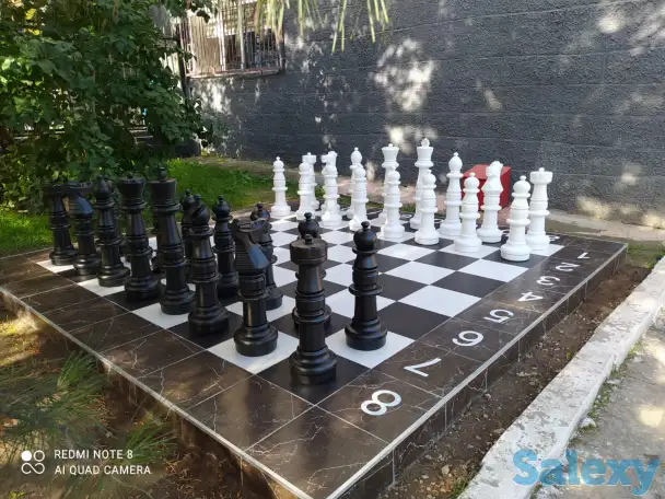 Шахматы парковые, фотография 3