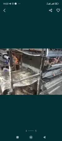 Оборудование для содержания кур несушек, фотография 3