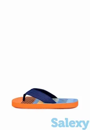 Сланцы t.taccardi, фотография 3