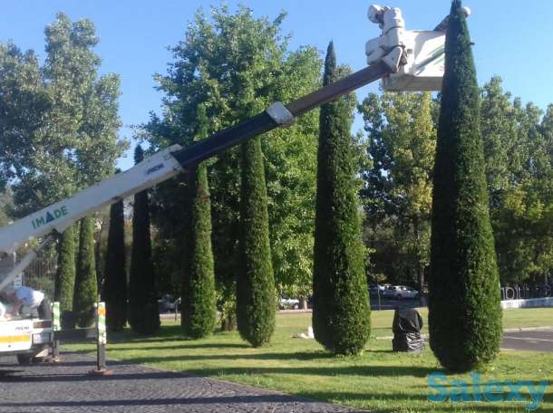 Услуги Автовышки, фотография 1