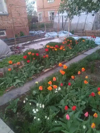 Кирпичный дом на большом участке, Усть-Каменногорск, ул. Щербакова, д. 31а, фотография 16