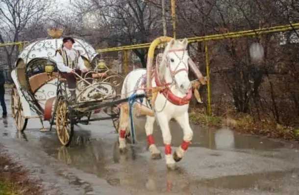 аренда кареты, фотография 16