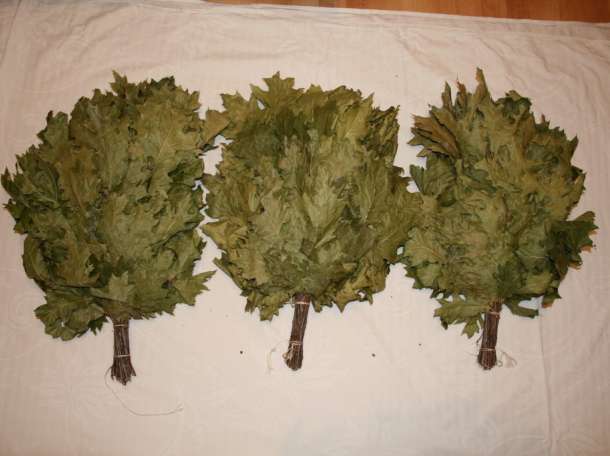 Веник для бани Канадский дуб, фотография 2