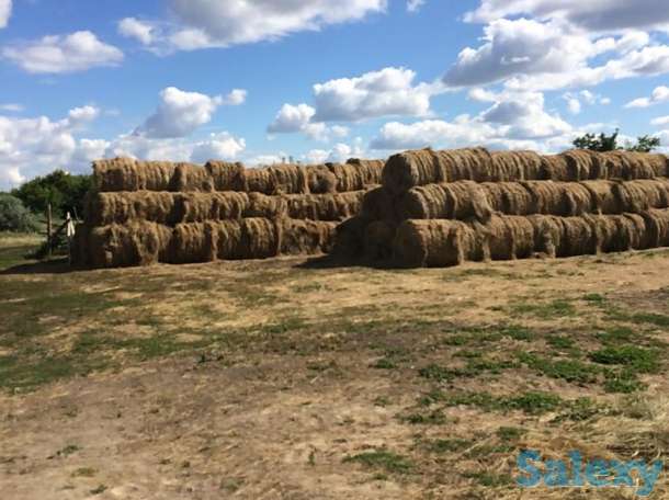 Продаётся животноводческая ферма, фотография 2