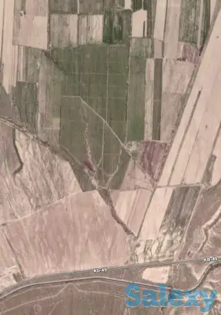 Продажа яблонево-сливовых садов в Алматинской области., фотография 3