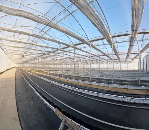 Сельскохозяйственный комплекс - Птицефабрика и теплица., фотография 3