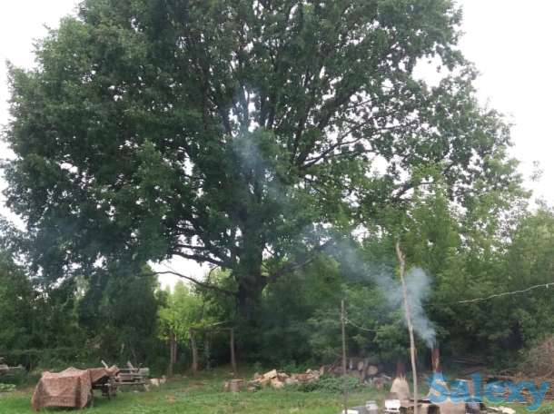 Продам дом срочно за выгодную цену!!!, Село Бактыбай Жамбыл 1, фотография 2