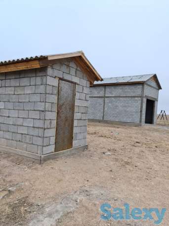 Фазенда (ферма), Капчагай-Курты 25 км, фотография 14