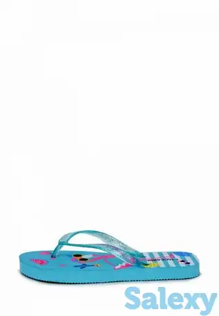 Сланцы t.taccardi, фотография 1