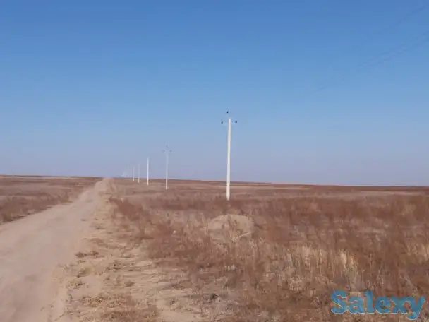 Участок 350 га в Кунаева, фотография 4