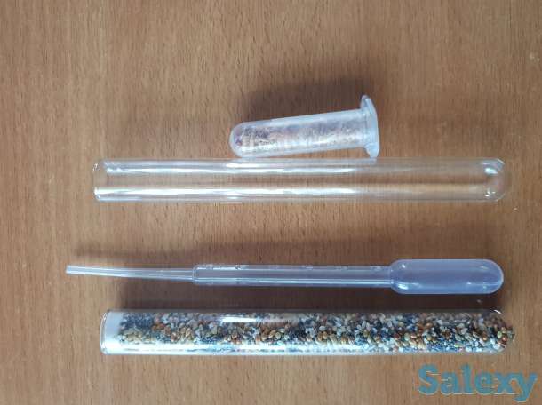 Муравьиная ферма, фотография 5