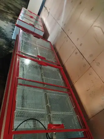 Ларь-бонета Gamma 250, фотография 8