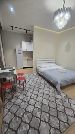 Уютная однокомнатная квартира в ЖК Alpamys, Улы Дала 31, фотография 2