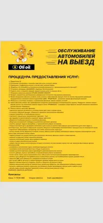Замена масла на выезд, фотография 8