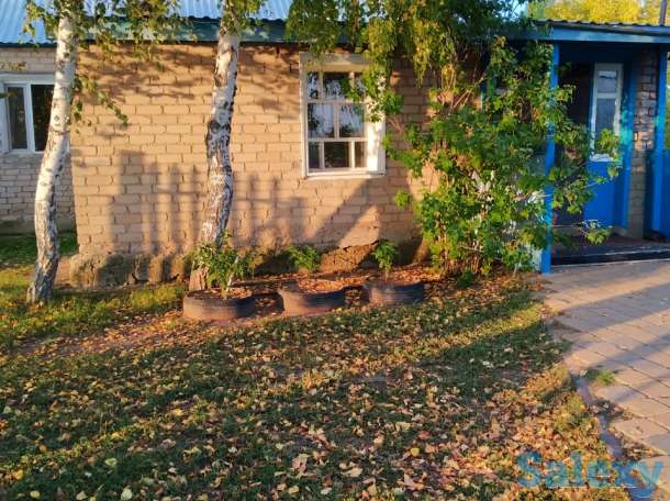 Продам дом, Акмолинская область, Целиноградский район, село Тонкерис, фотография 6