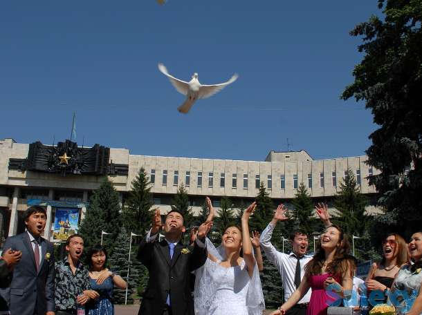 Фотограф в Алматы, фотография 7