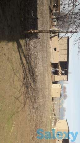 Продам дом сарагаш, Женыс9, фотография 3