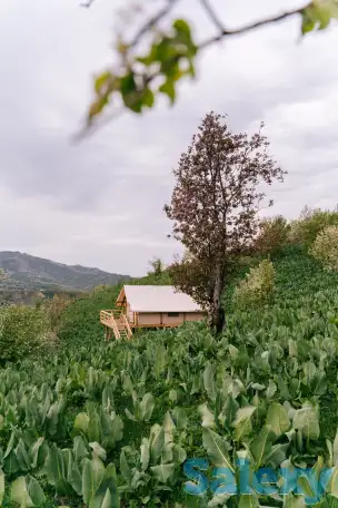 Аренда домов посуточно, с Бескайнар ,набережная 1/1, фотография 5