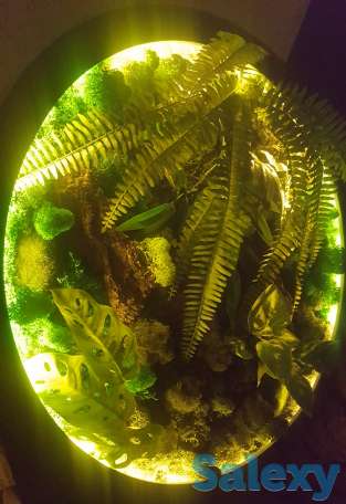 Картина, фотография 2