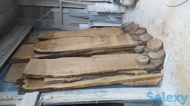 Слеб карагач., фотография 8