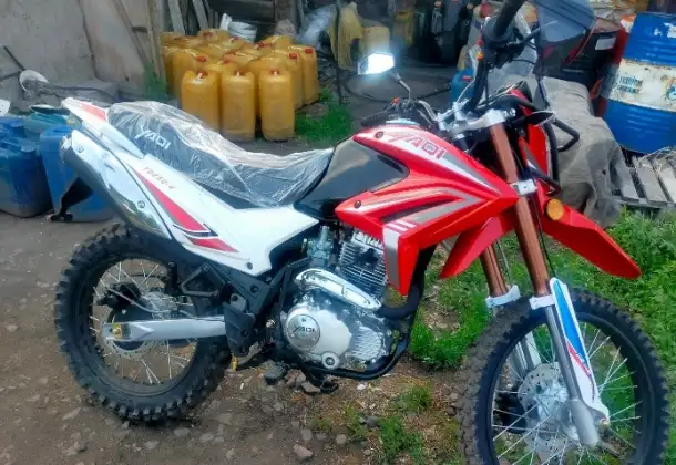 Продам лошадей и дом, ж/д станция Сокыр, фотография 4