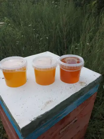 Продаем натуральный мёд, фотография 3