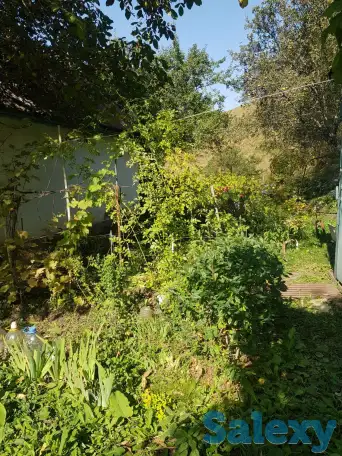 Продам дачу, фотография 2