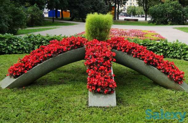 Благоустройство, фотография 2