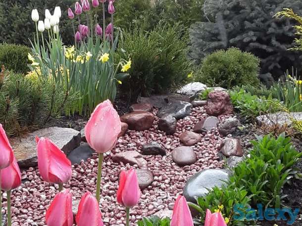 Профессиональный ландшафтный дизайн в Алматы!, фотография 7