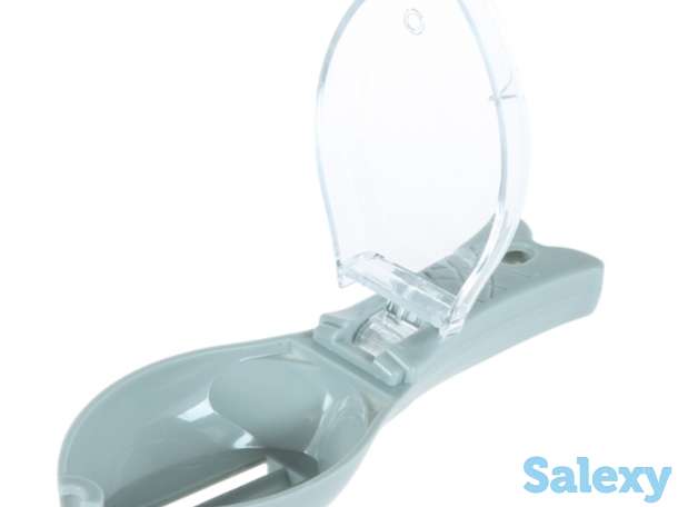 Рыба очиститель, фотография 5