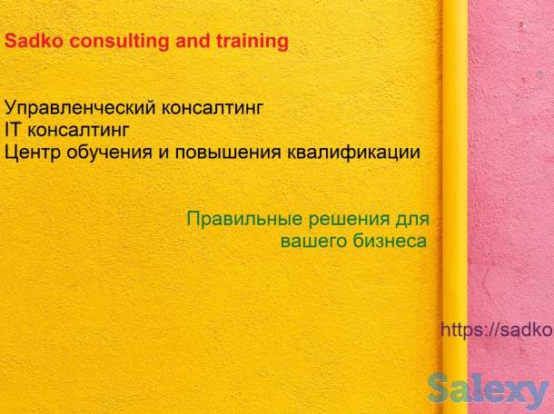 Управленческий консалтинг. Психология бизнеса., фотография 3