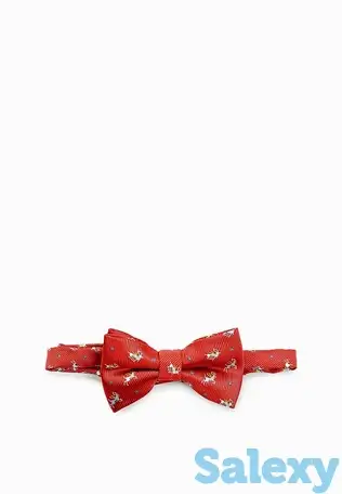 Бабочка acoola, фотография 2