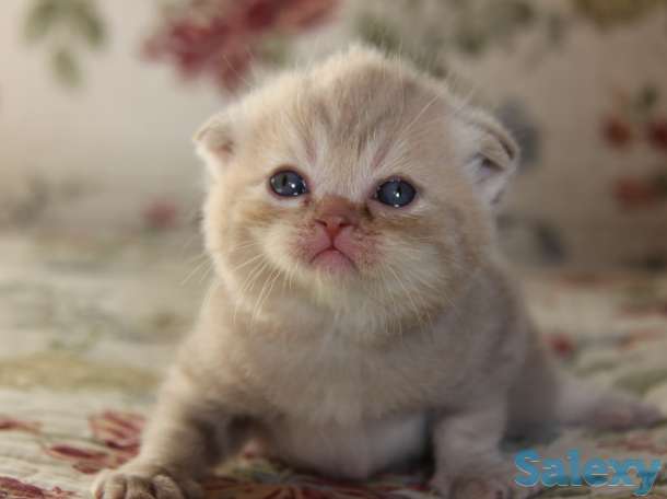 Продажа/бронирование, фотография 1