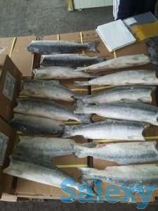 Морепродукты, фотография 1