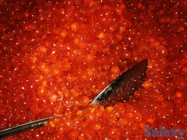 Продаётся красная икра, фотография 1