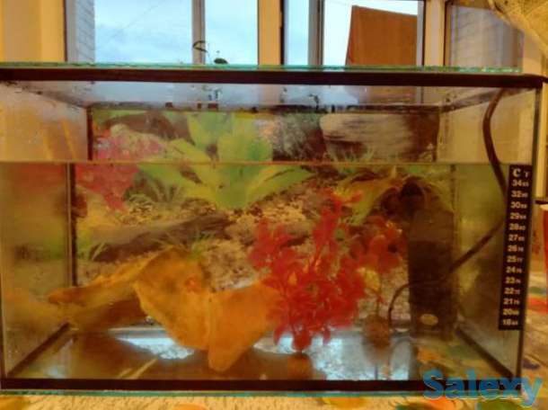 Продам аквариум 15 литров, фотография 1