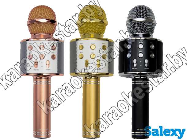 Караоке-микрофон WS-858 с бесплатной доставкой, фотография 2