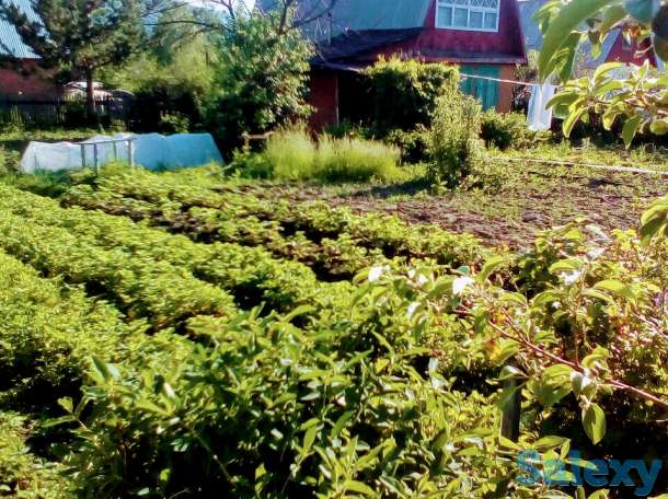 Продам двухэтажную дачу в живописном месте, Город Риддер, Ульбастрой., фотография 1