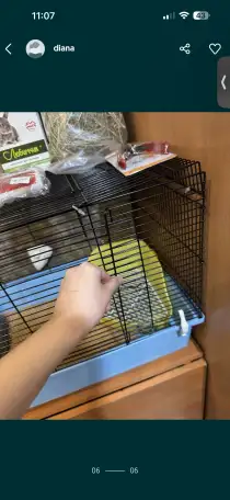 Продаю клетку для кроликовгрызунов, фотография 5