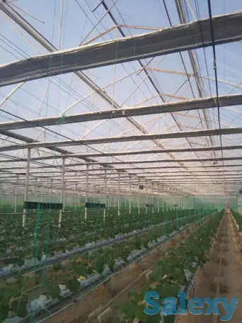 Промышленные теплицы, Г . . Красновод, фотография 1