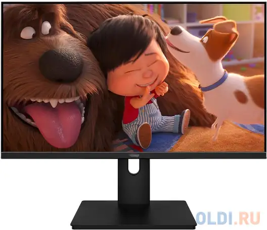 Монитор aiwa mf240b-l, фотография 1