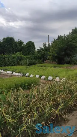 Дача 15 соток, Алматинская область, Талгарский район, с.о. Кендалинский, с. Кендала, с/т Медик-, фотография 4