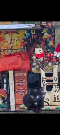 Отдам в добрые руки котика маленького,очень игривый и ласквый ,возраст 3 месяца, фотография 2