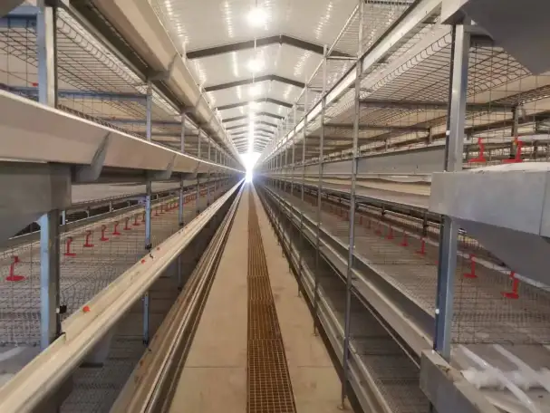 Оборудование  Big Dutchman для птицефабрики по выращиванию птиц из Китайского производителя , дешево и качественно!, фотография 6