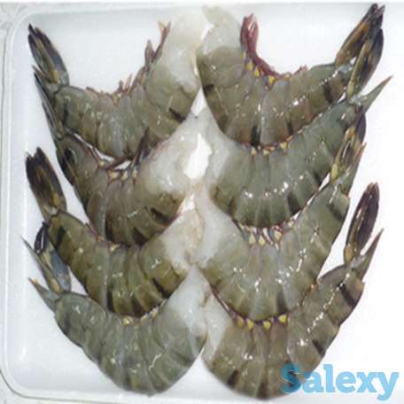 Поставки морепродуктов во Вьетнам || Поиск вьетнамских морепродуктов, фотография 4